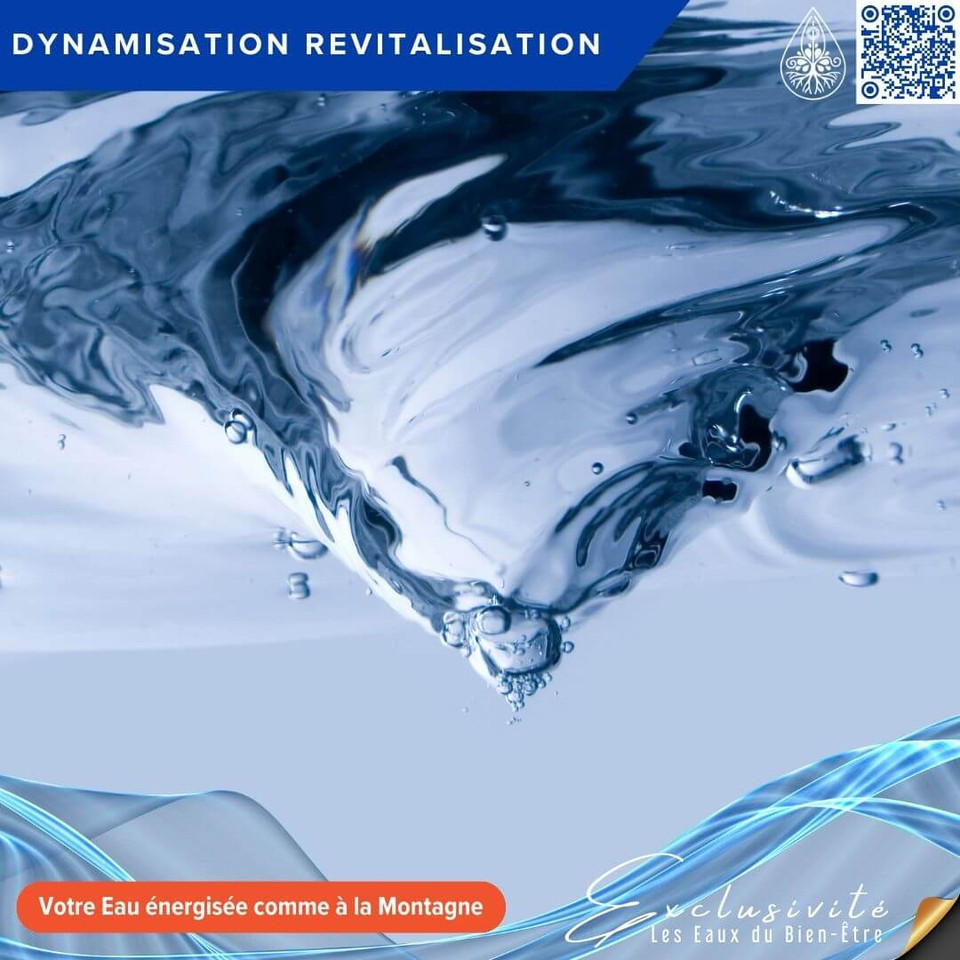 DYNAMISATION ET REVITALISATION :